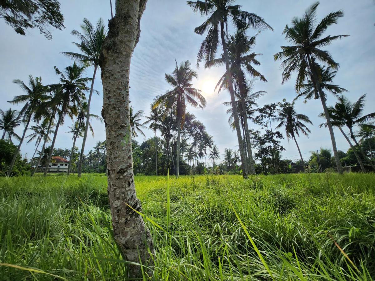 Casa Idea Ubud 外观 照片